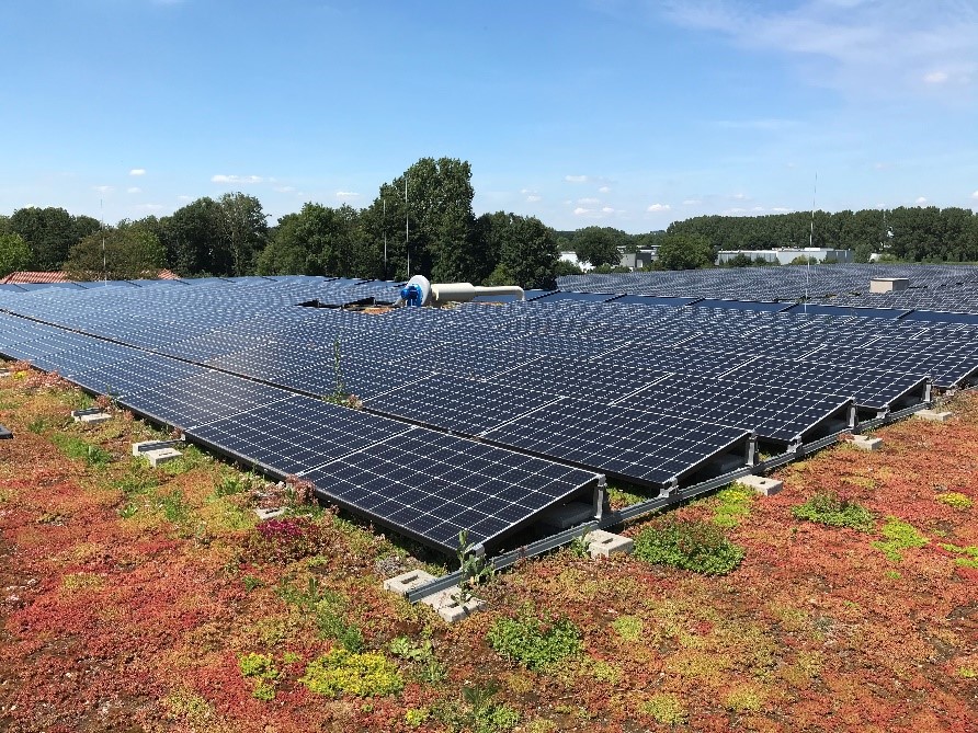 Zonnepanelen op het groene dak van KWR